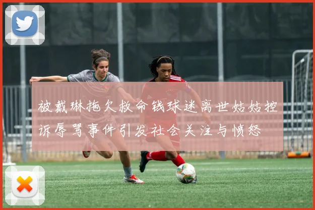 被戴琳拖欠救命钱球迷离世姑姑控诉辱骂事件引发社会关注与愤怒